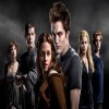کالکشن فیلم توالایت گرگ و میش  دوبله آلمانی Twilight